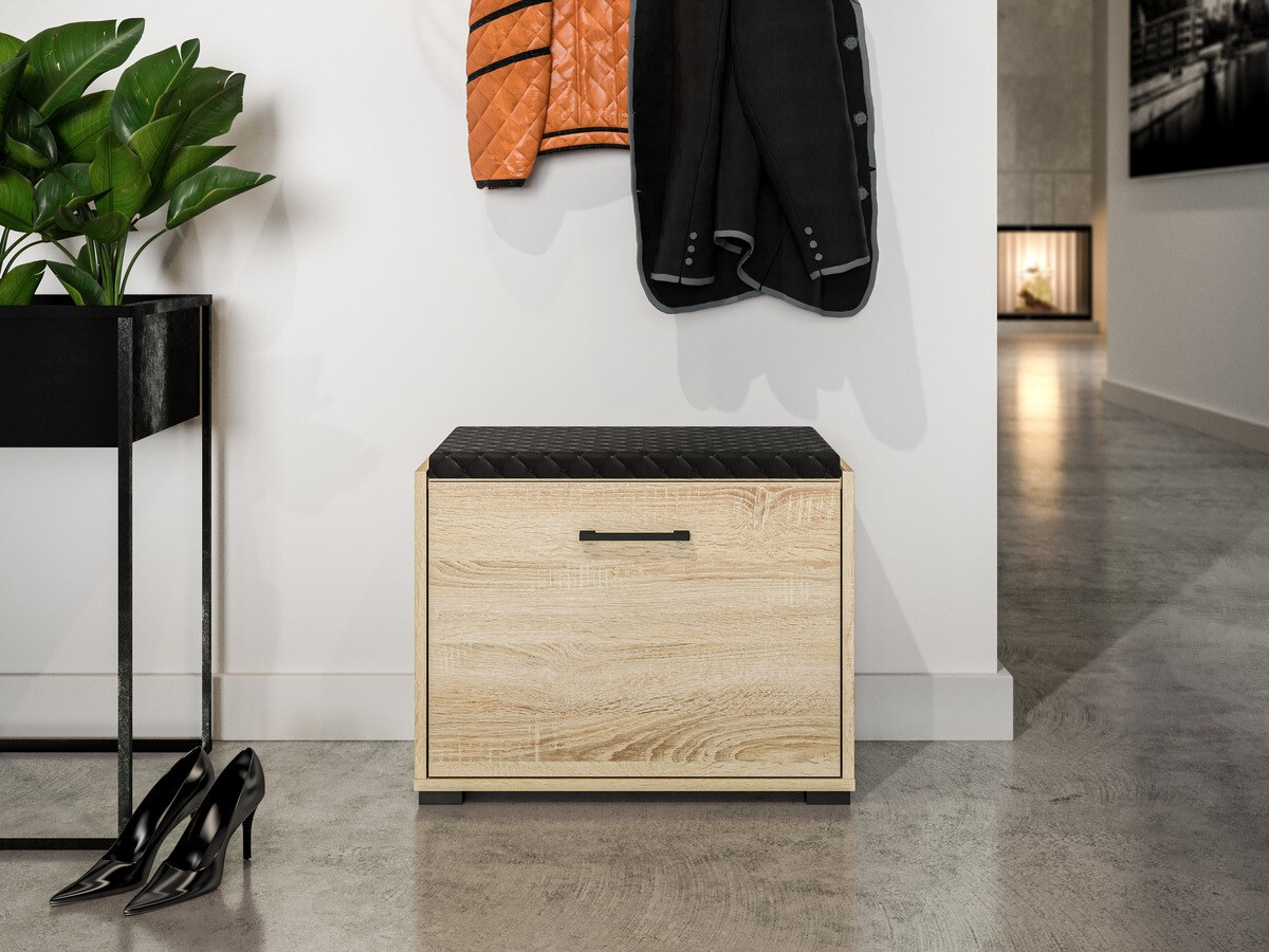 Batų dėžė Camtesu 100