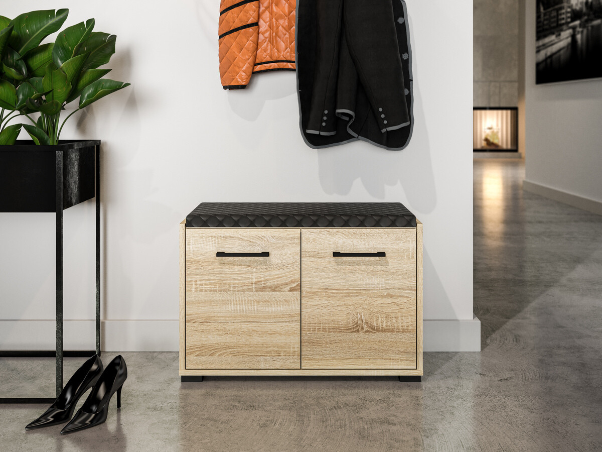 Batų dėžė Camtesu 101