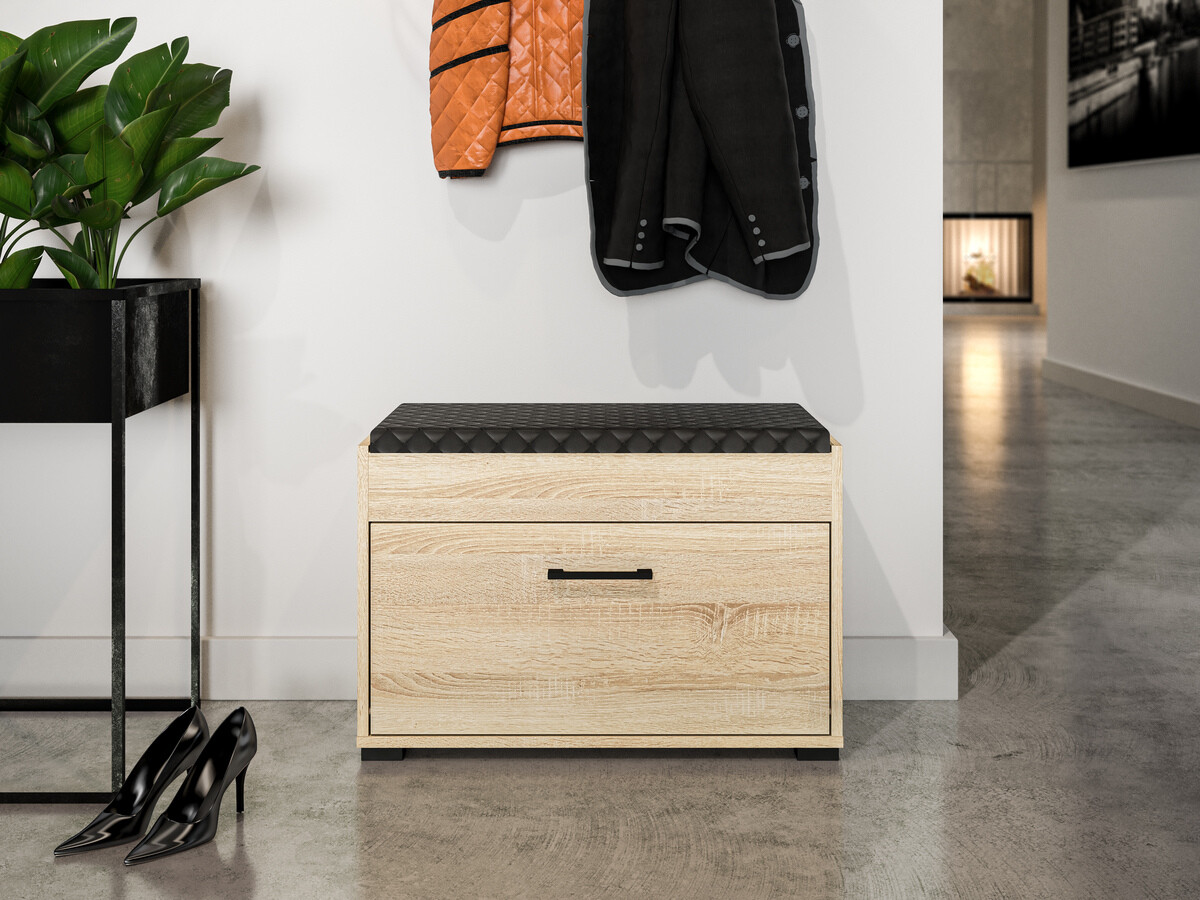 Batų dėžė Camtesu 102