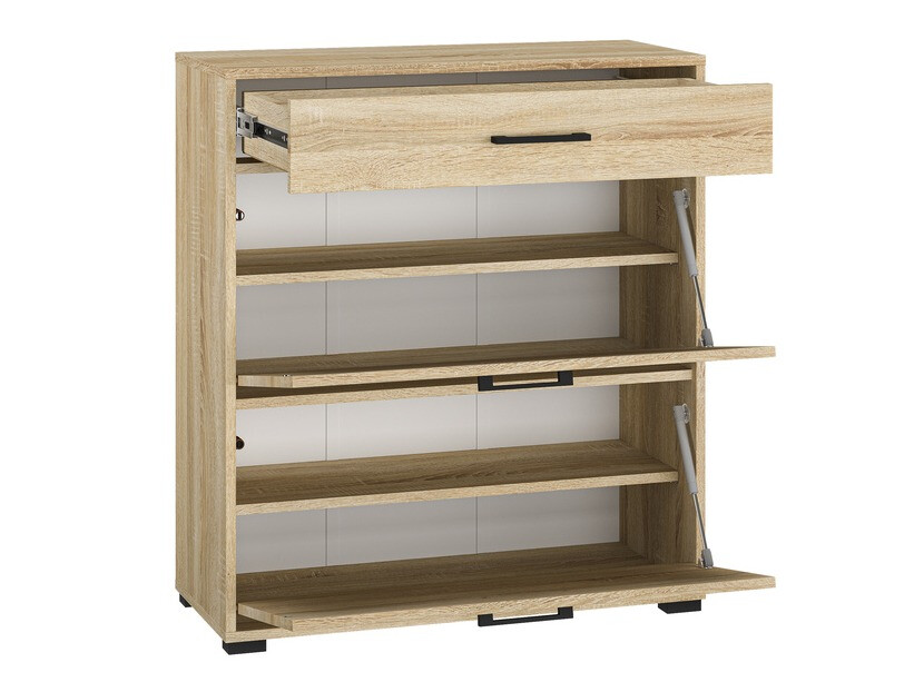 Batų dėžė Camtesu 109