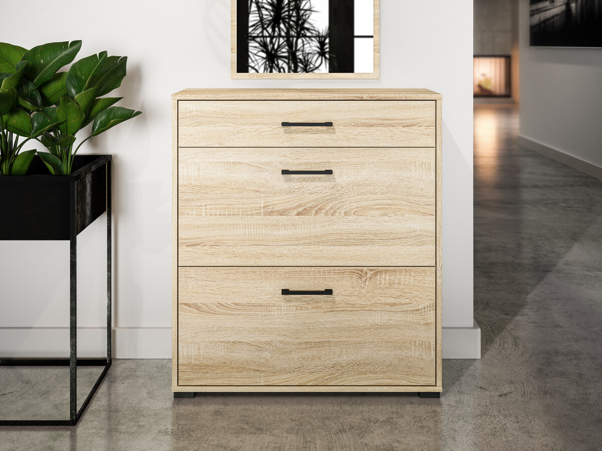 Batų dėžė Camtesu 109