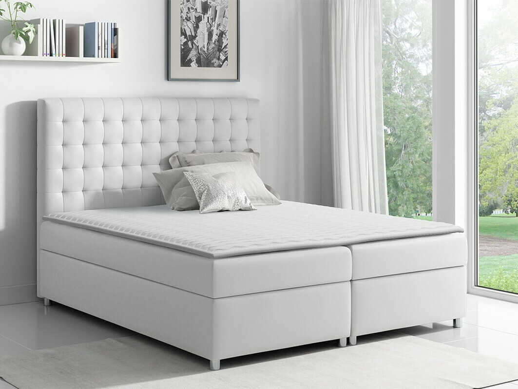 Continental lova Panis (Soft 017)