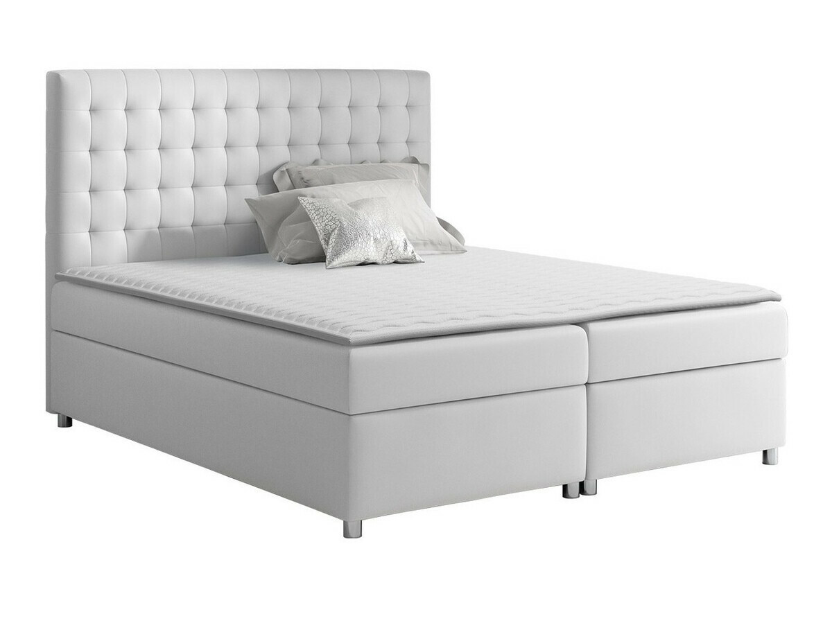 Continental lova Panis (Soft 017)