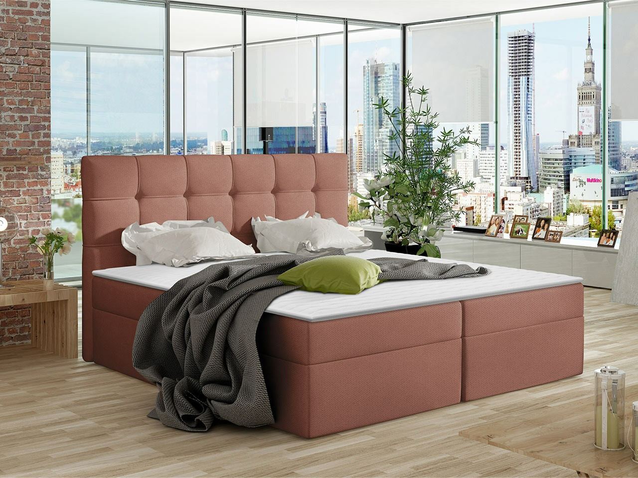 Continental lova Comfivo Gaudens (Kronos 29)