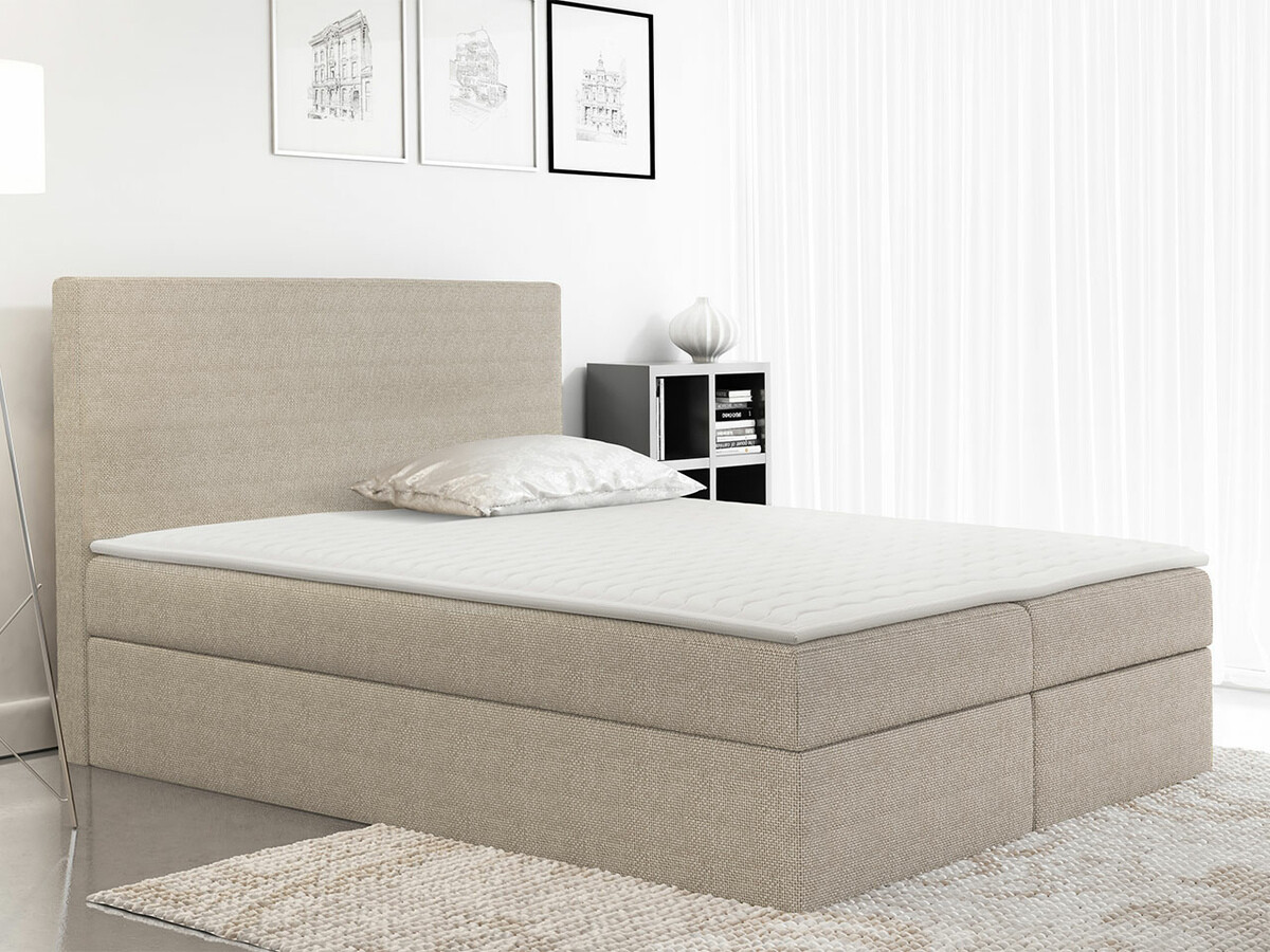 Continental lova Butyrum (Muna 02)