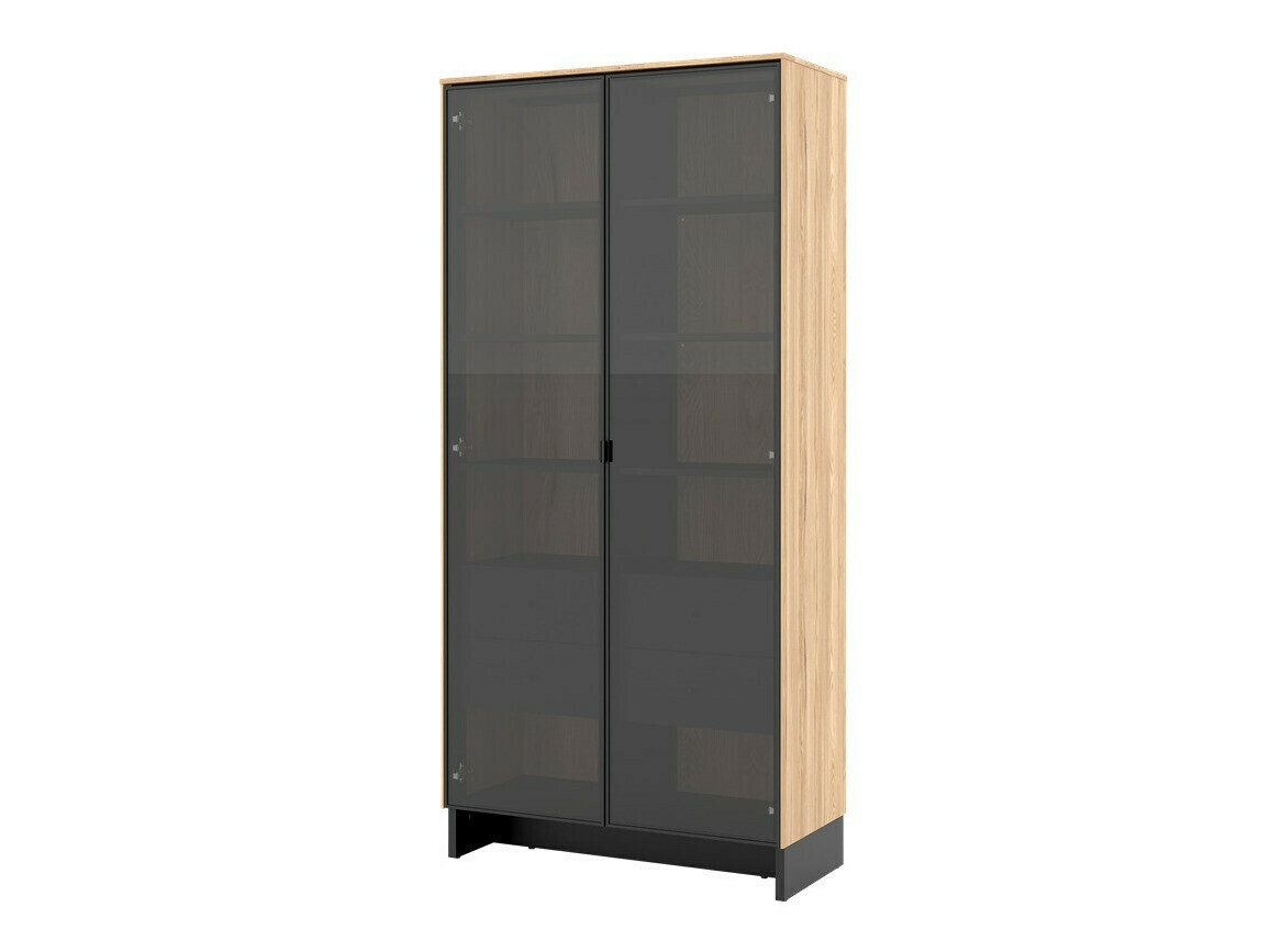 Lentyna Lorcamo 104