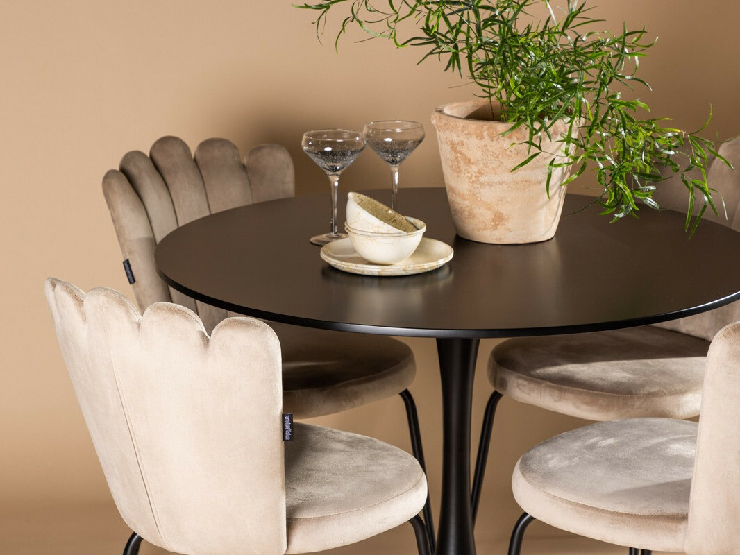 Valgomojo komplektas Dallas 4162