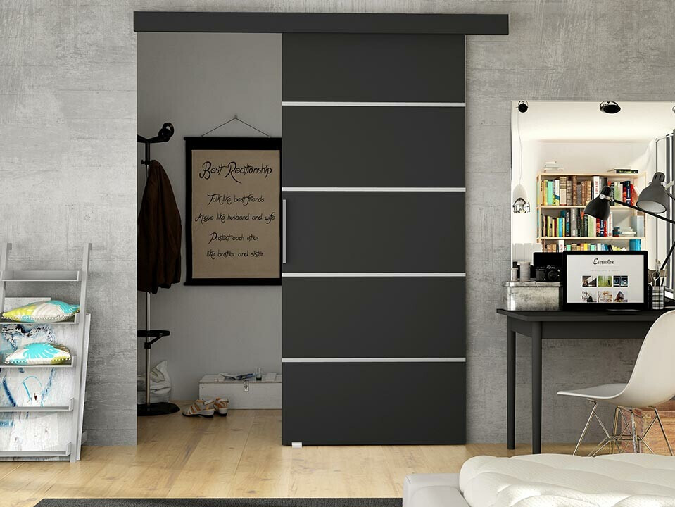 Stumdomos durys Closico Fundus III (Juoda)