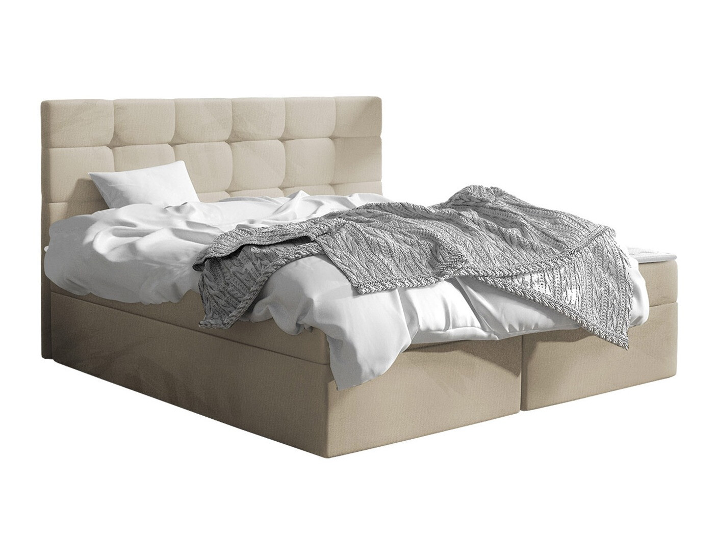 Continental lova Comfivo Osculum I (Manila 02)