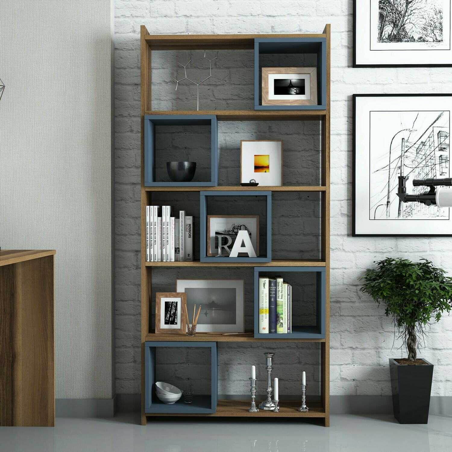 Lentyna Kailua 666 (Mėlyna + Graikinis riešutas)