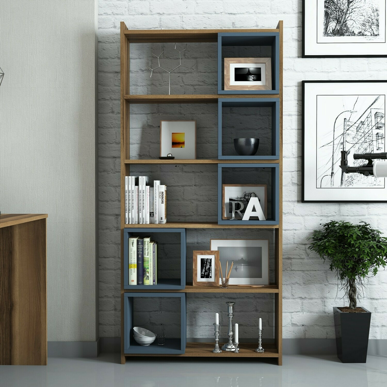 Lentyna Kailua 666 (Mėlyna + Graikinis riešutas)