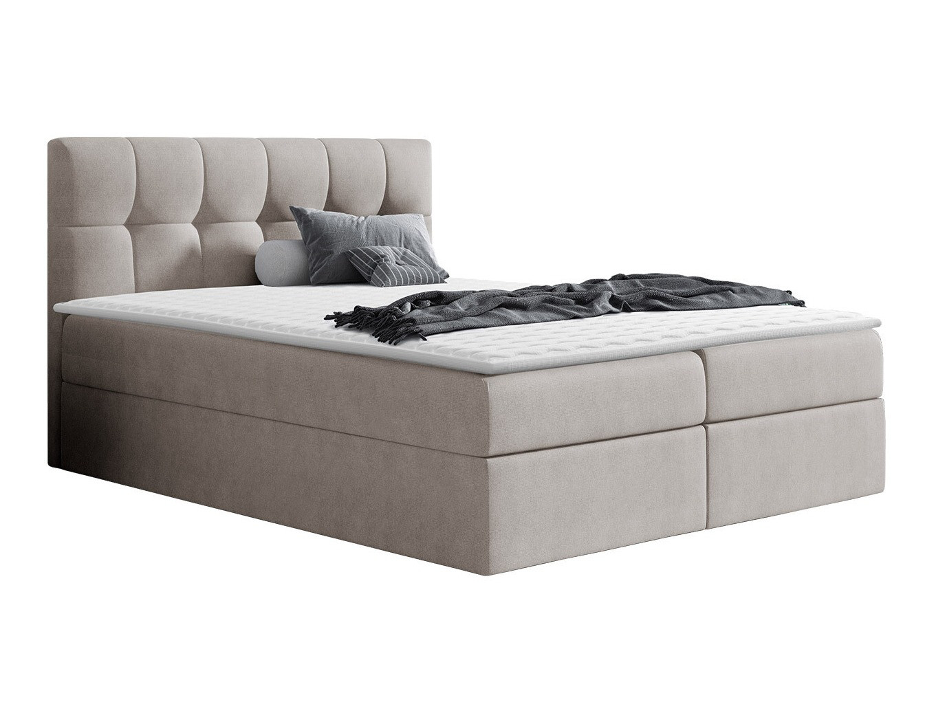 Continental lova Aedes (Rico 1)