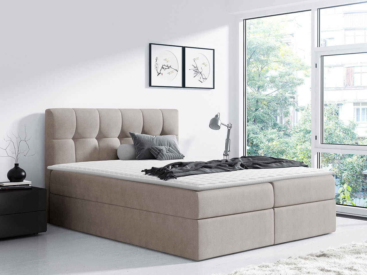 Continental lova Aedes (Rico 1)