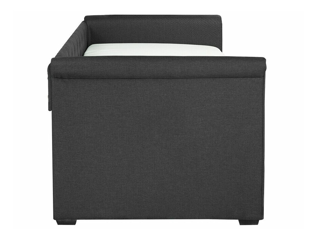 Lova Berwyn 549 (Pilka)