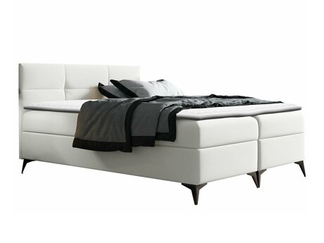 Continental lova Baltimore 134 (Soft 017)