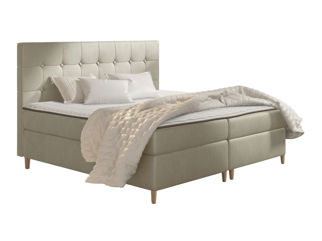 Continental lova Caseus (Magic Velvet 2201)