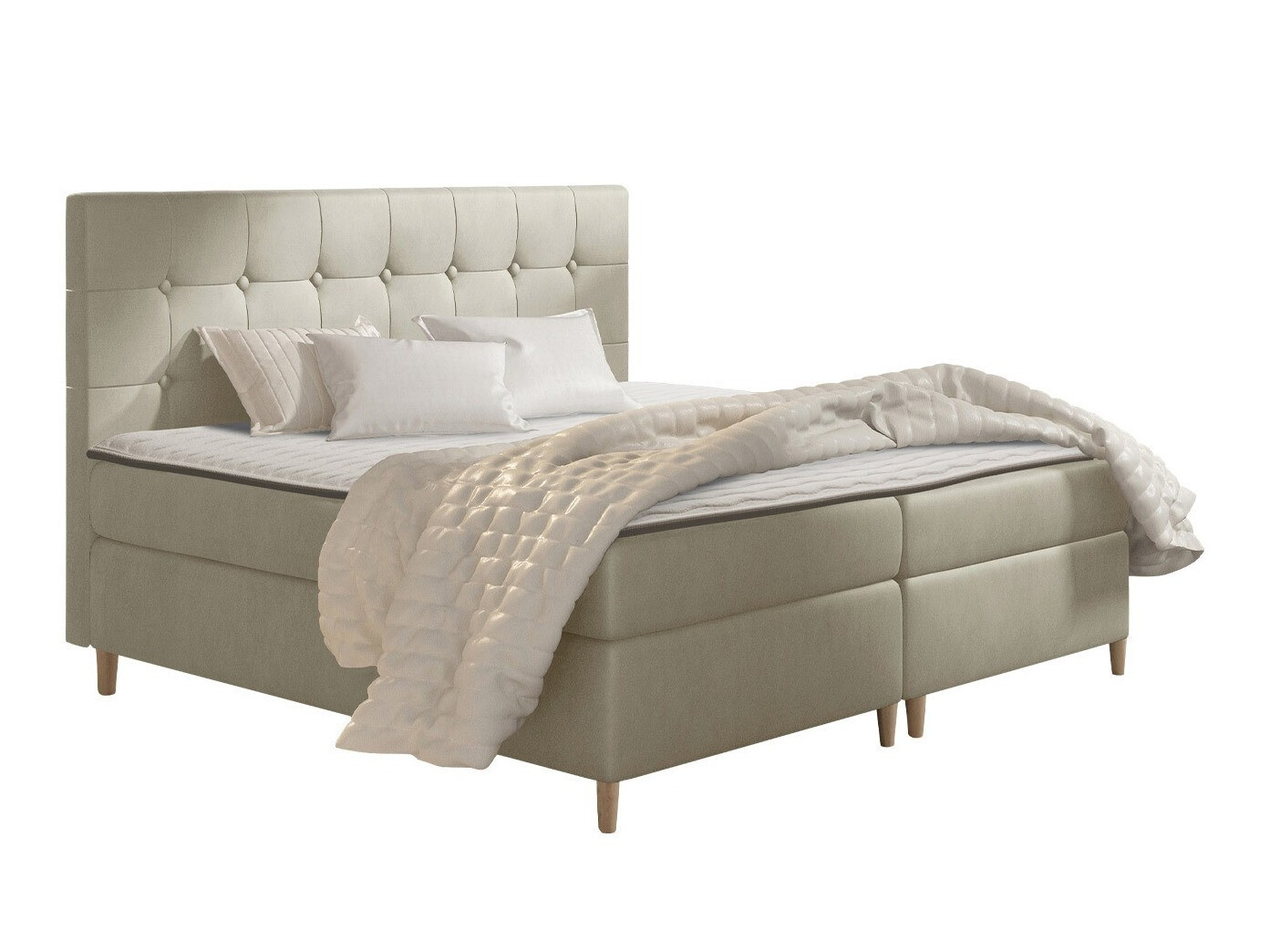 Continental lova Caseus (Magic Velvet 2201)