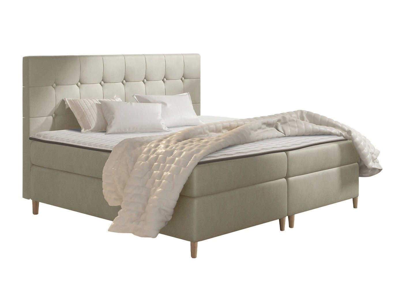 Continental lova Caseus (Magic Velvet 2201)