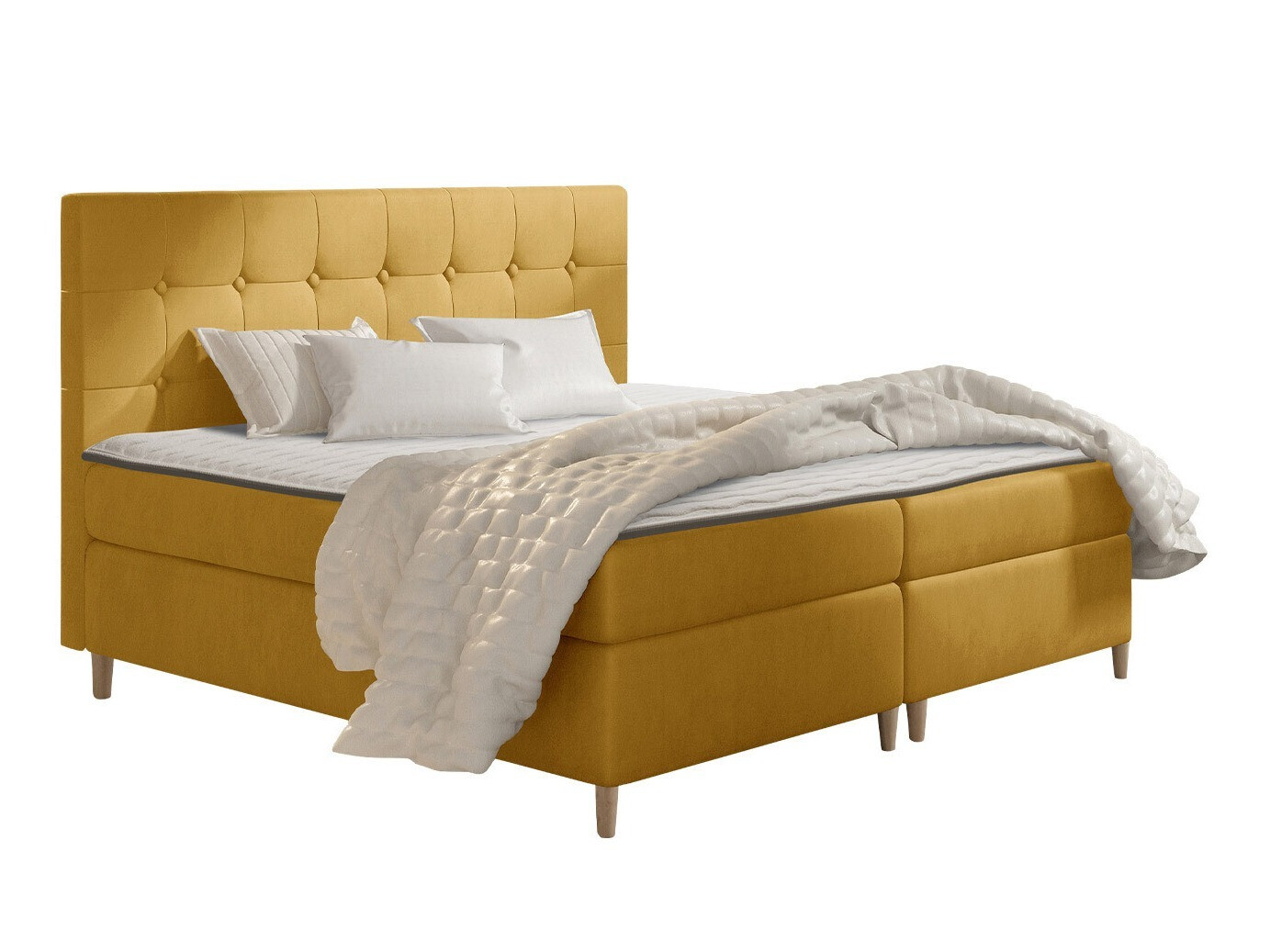 Continental lova Caseus (Magic Velvet 2215)