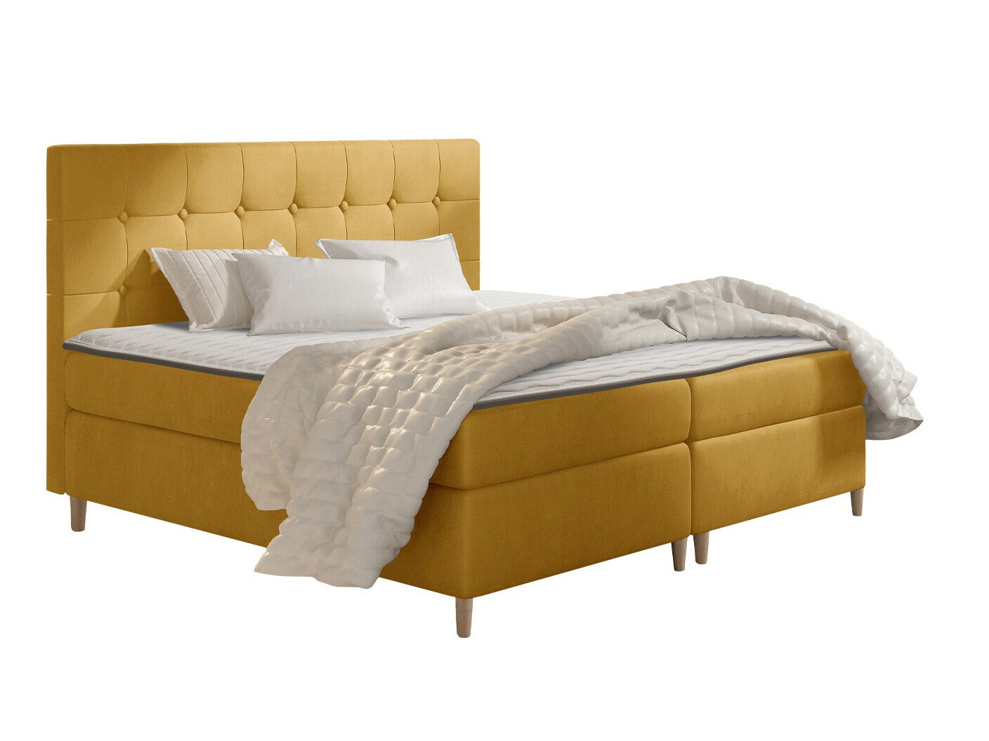 Continental lova Caseus (Magic Velvet 2215)