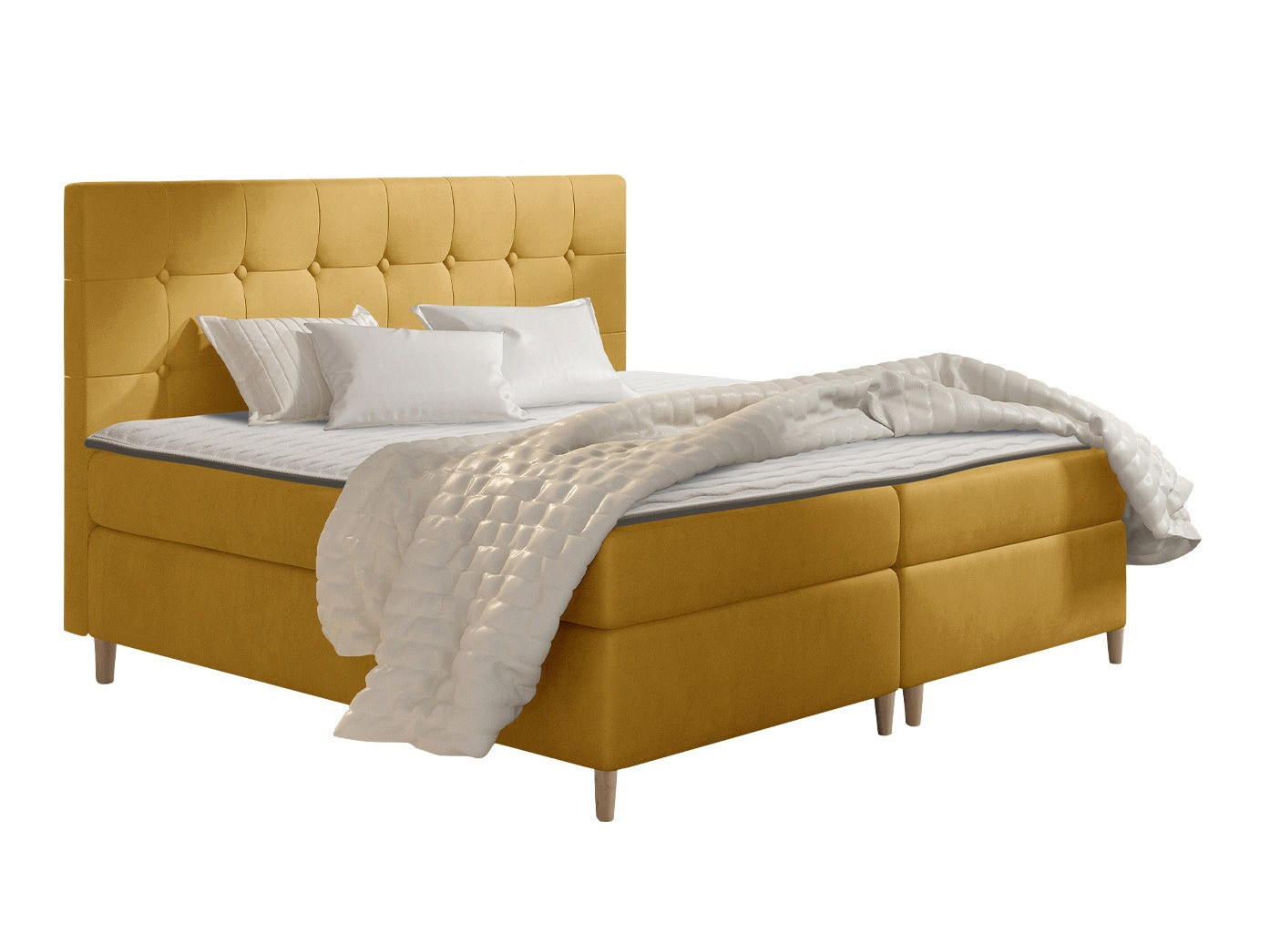 Continental lova Caseus (Magic Velvet 2215)