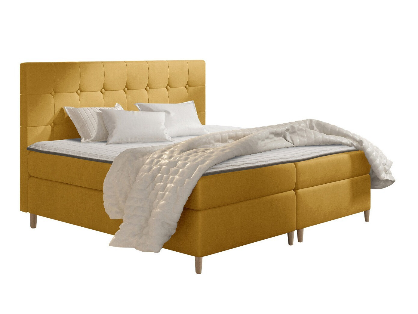 Continental lova Caseus (Magic Velvet 2215)