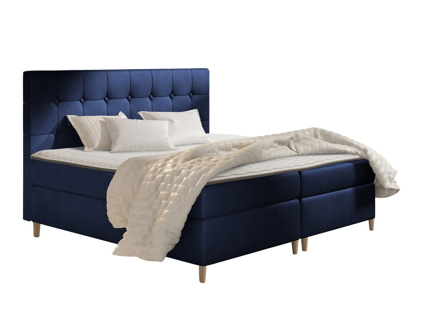 Continental lova Caseus (Magic Velvet 2216)