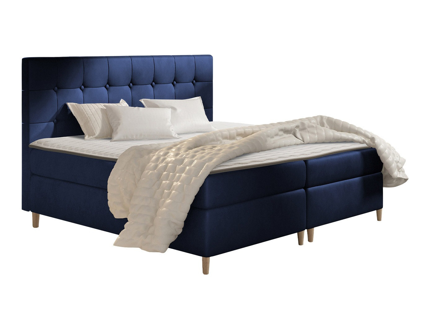 Continental lova Caseus (Magic Velvet 2216)