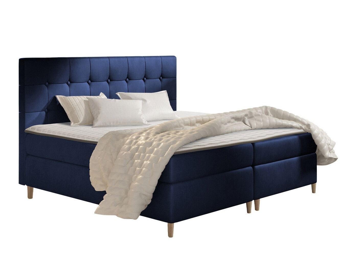 Continental lova Caseus (Magic Velvet 2216)