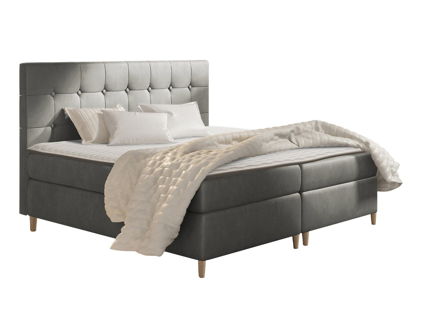 Continental lova Caseus (Magic Velvet 2217)