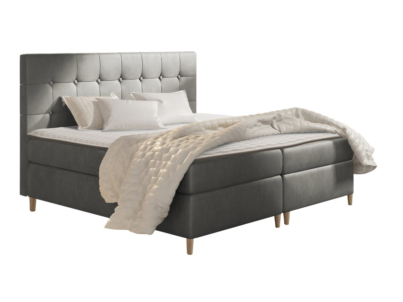 Continental lova Caseus (Magic Velvet 2217)