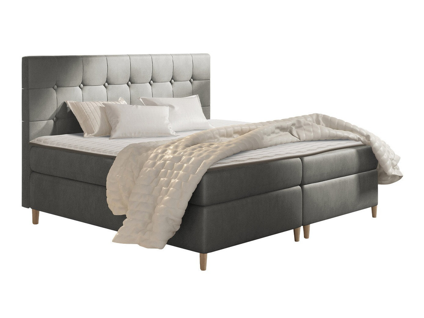 Continental lova Caseus (Magic Velvet 2217)