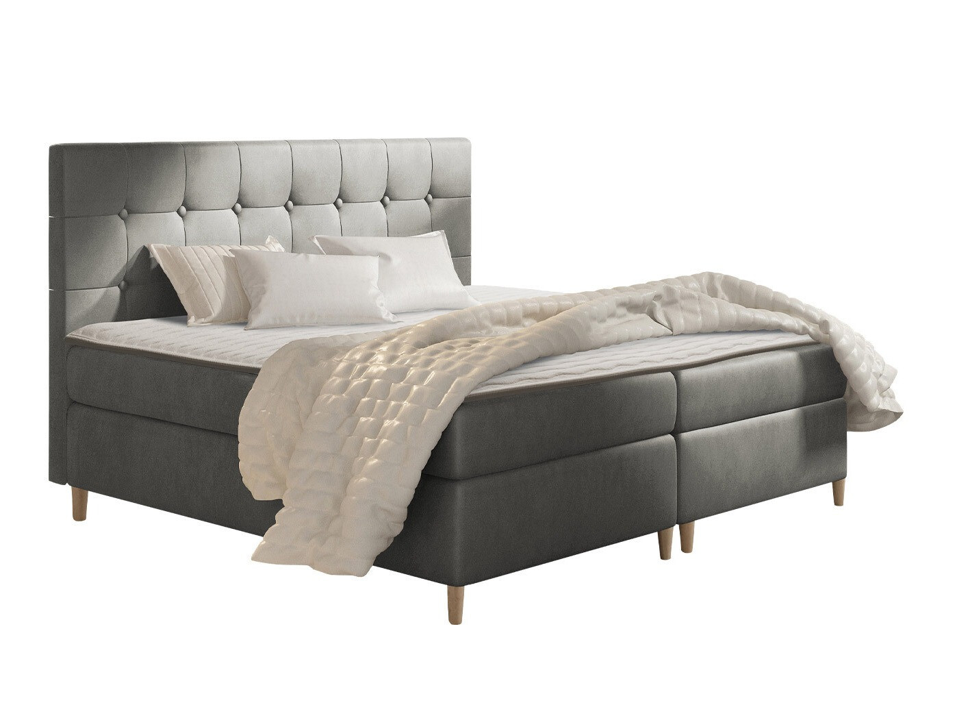 Continental lova Caseus (Magic Velvet 2217)