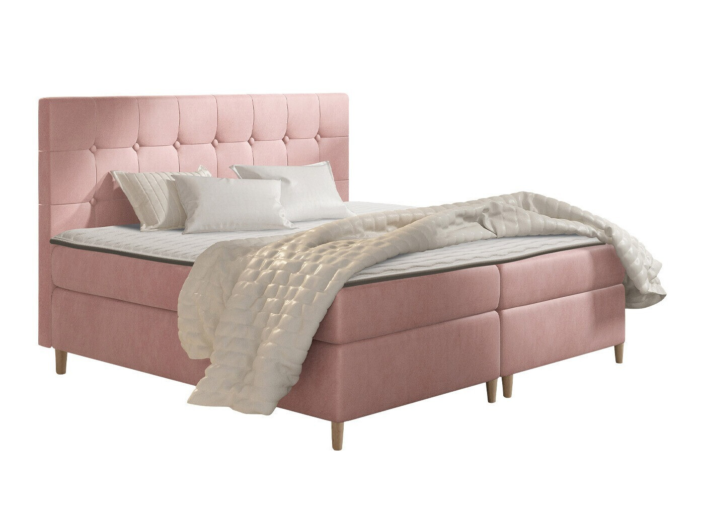 Continental lova Caseus (Magic Velvet 2257)