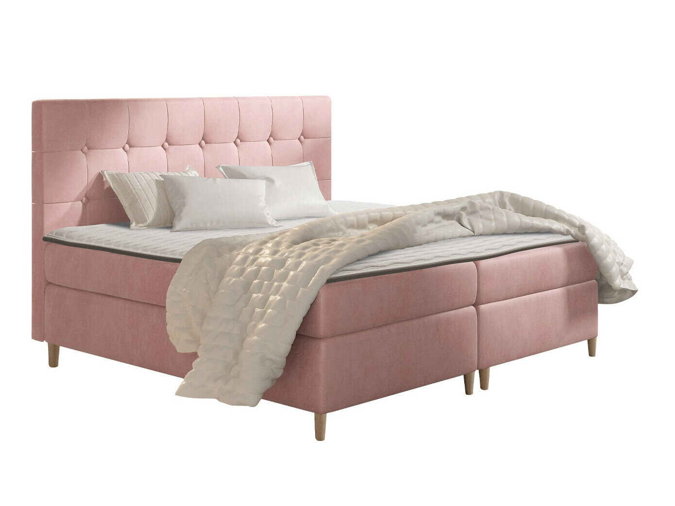 Continental lova Caseus (Magic Velvet 2257)