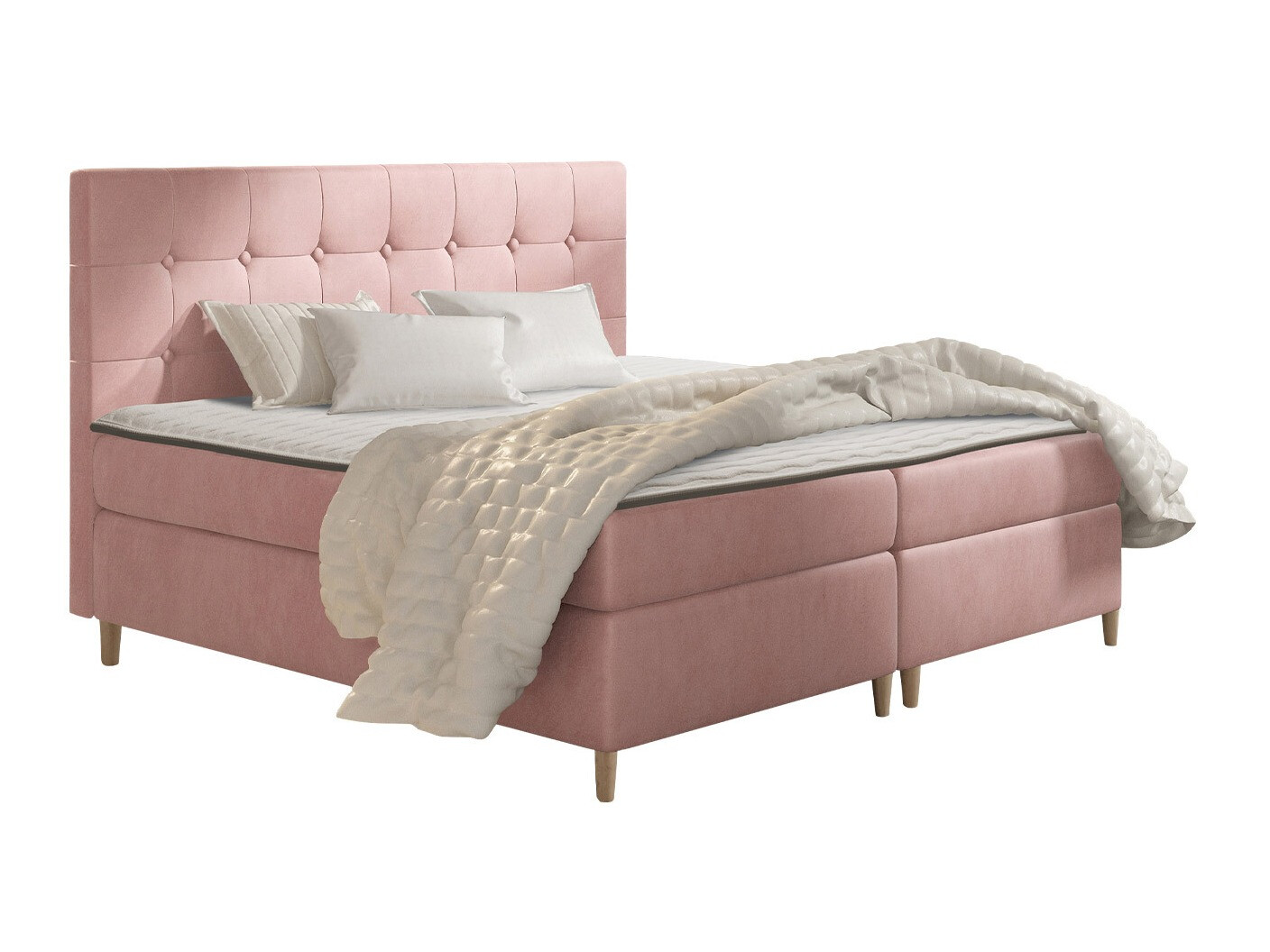 Continental lova Caseus (Magic Velvet 2257)