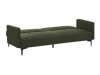Sofa lova Berwyn 161 (Tamsi žalia)