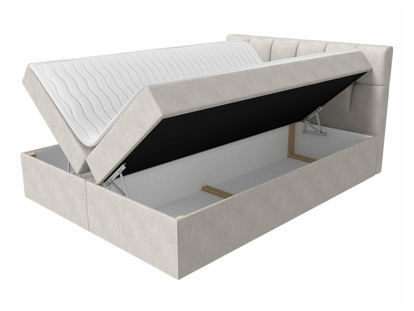 Continental lova Aedes (Rico 1)