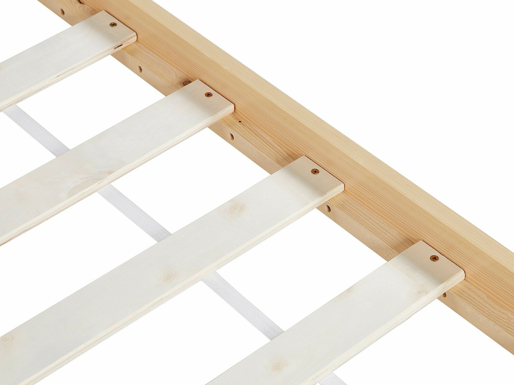 Lova Berwyn 2007 (Šviesus medis)