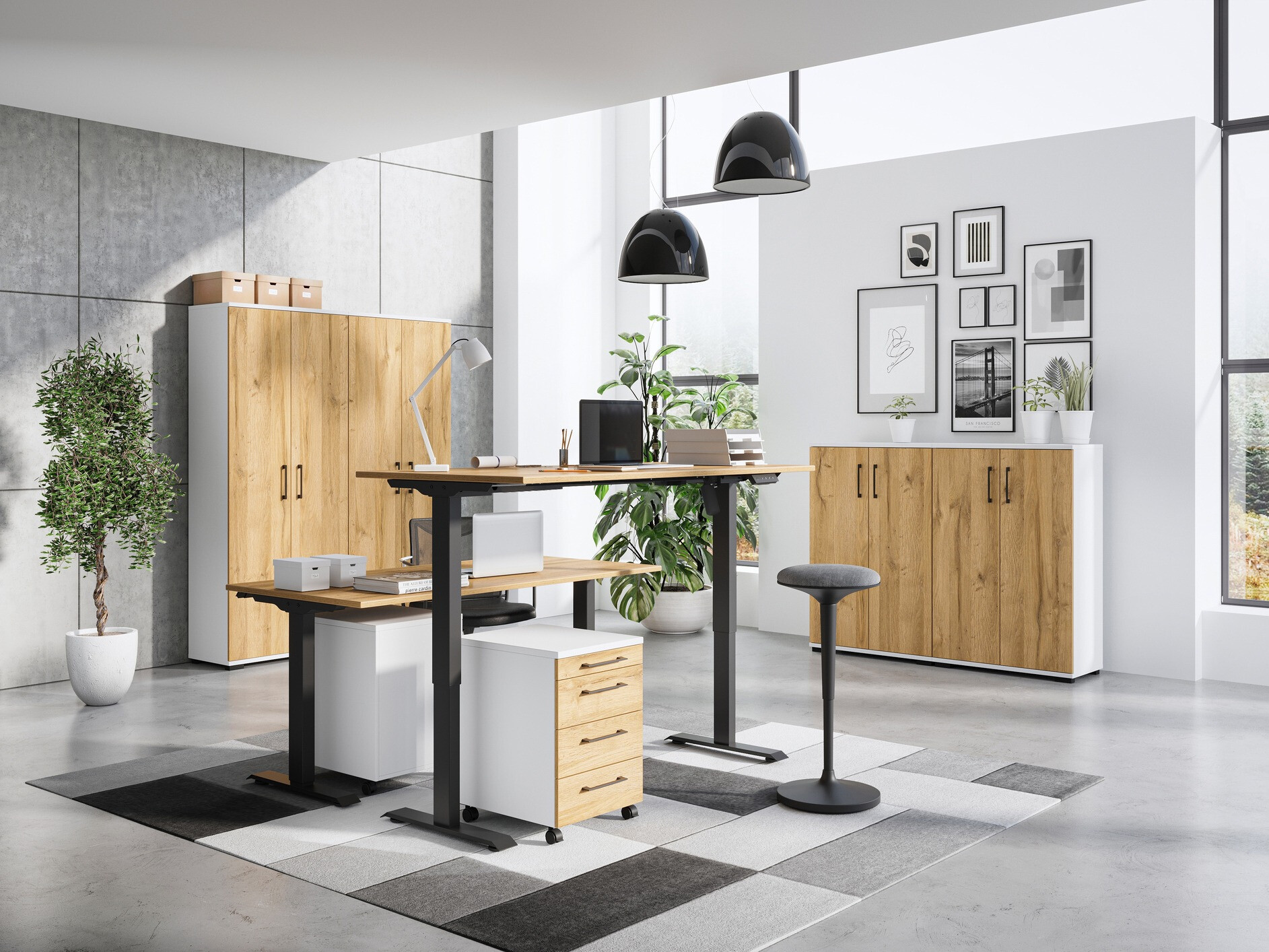 Lentyna Lartesi 104 (Balta + Grandson ąžuolas)