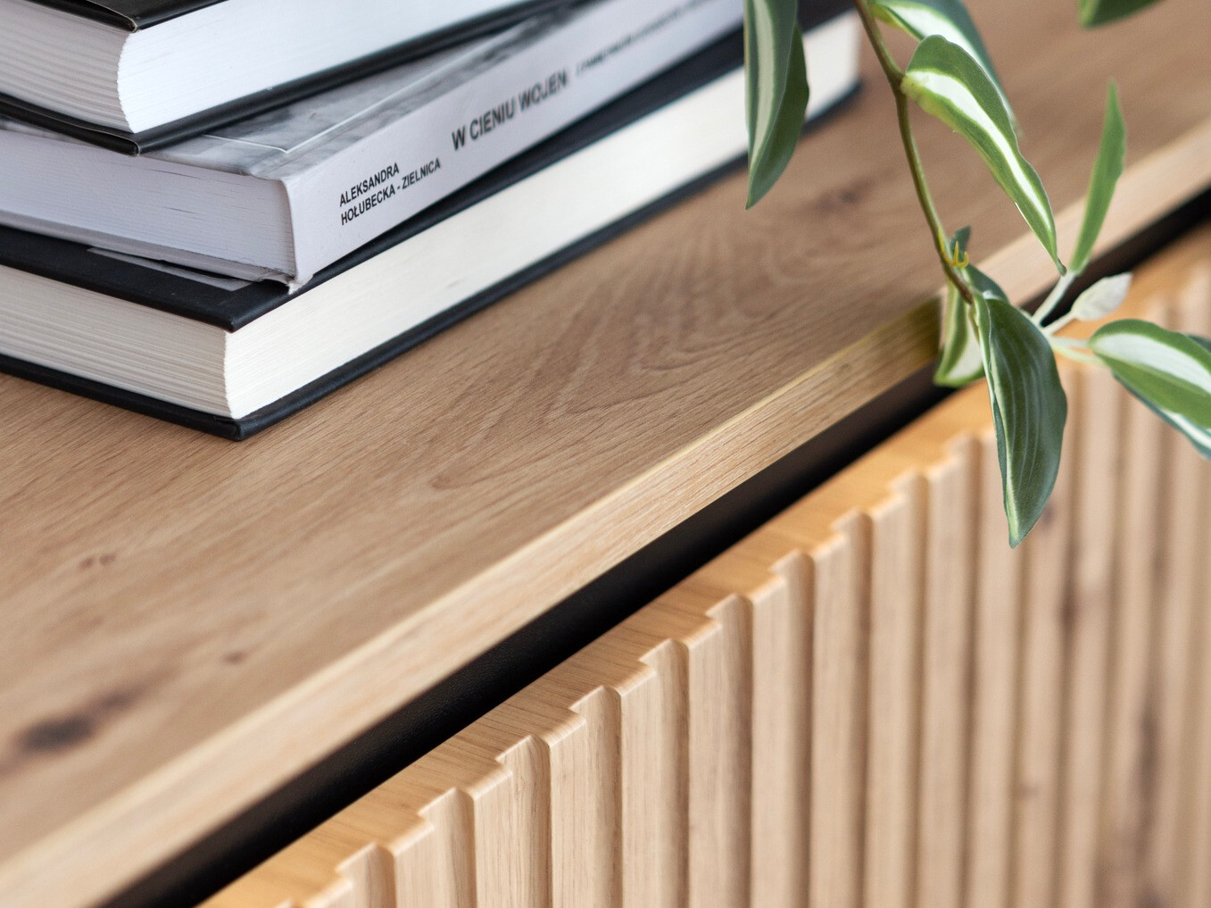 TV staliukas Fernolu 105 (Artisan ąžuolas + Juoda)