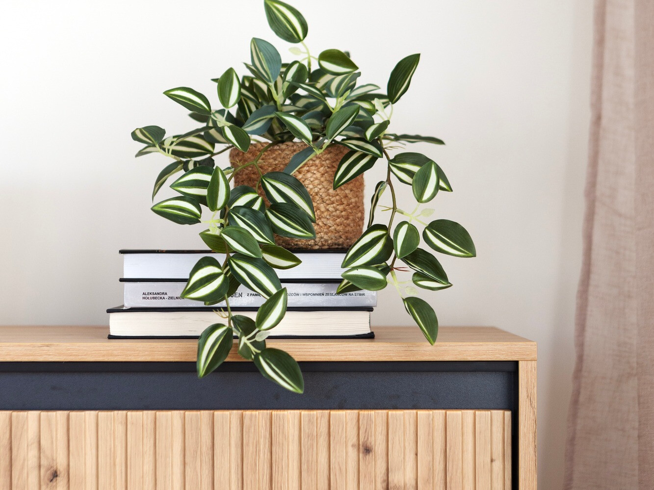 TV staliukas Fernolu 105 (Artisan ąžuolas + Juoda)