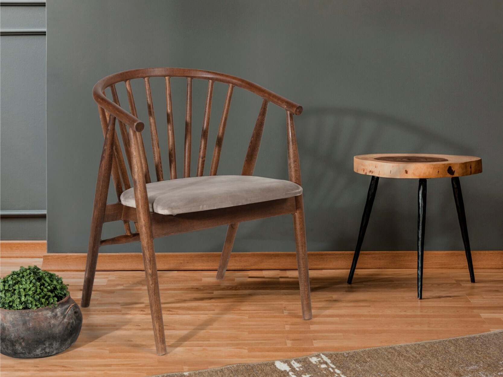 Kėdė Kailua 2258 (Smėlinė + Graikinis riešutas)