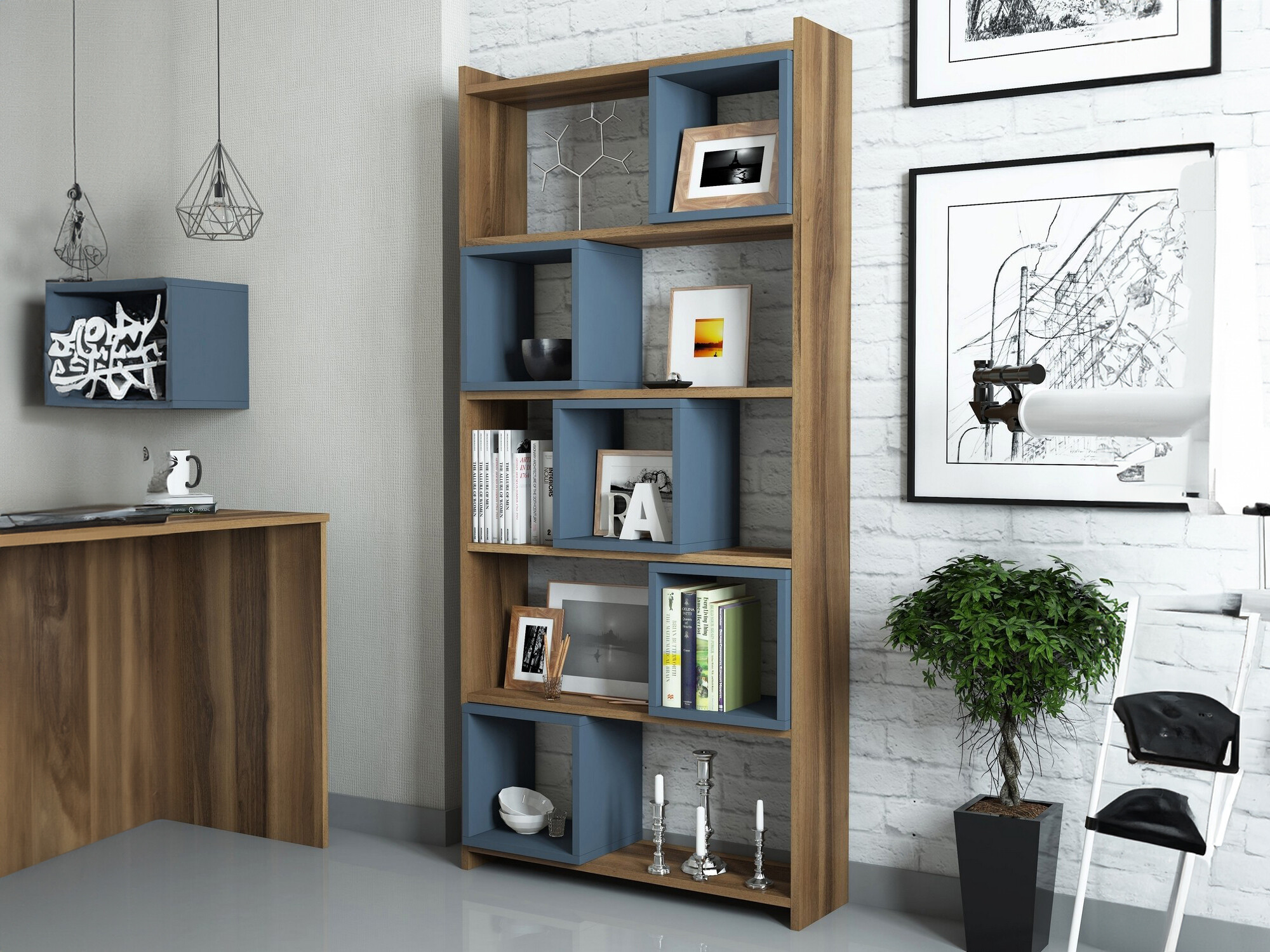 Lentyna Kailua 666 (Mėlyna + Graikinis riešutas)