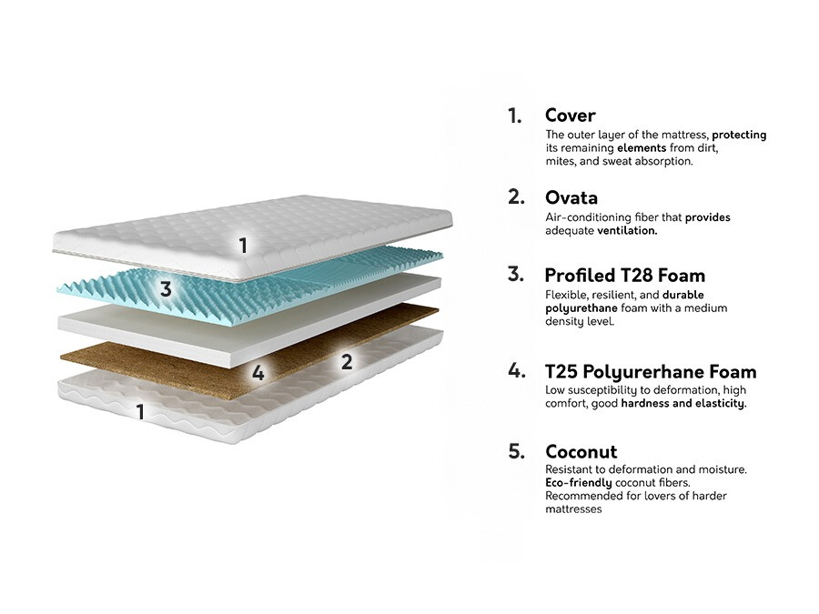 Čiužinys Dayton 149