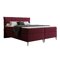 Continental lova Martinez 105 (Magic Velvet 2229)
