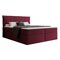 Continental lova Martinez 107 (Magic Velvet 2229)