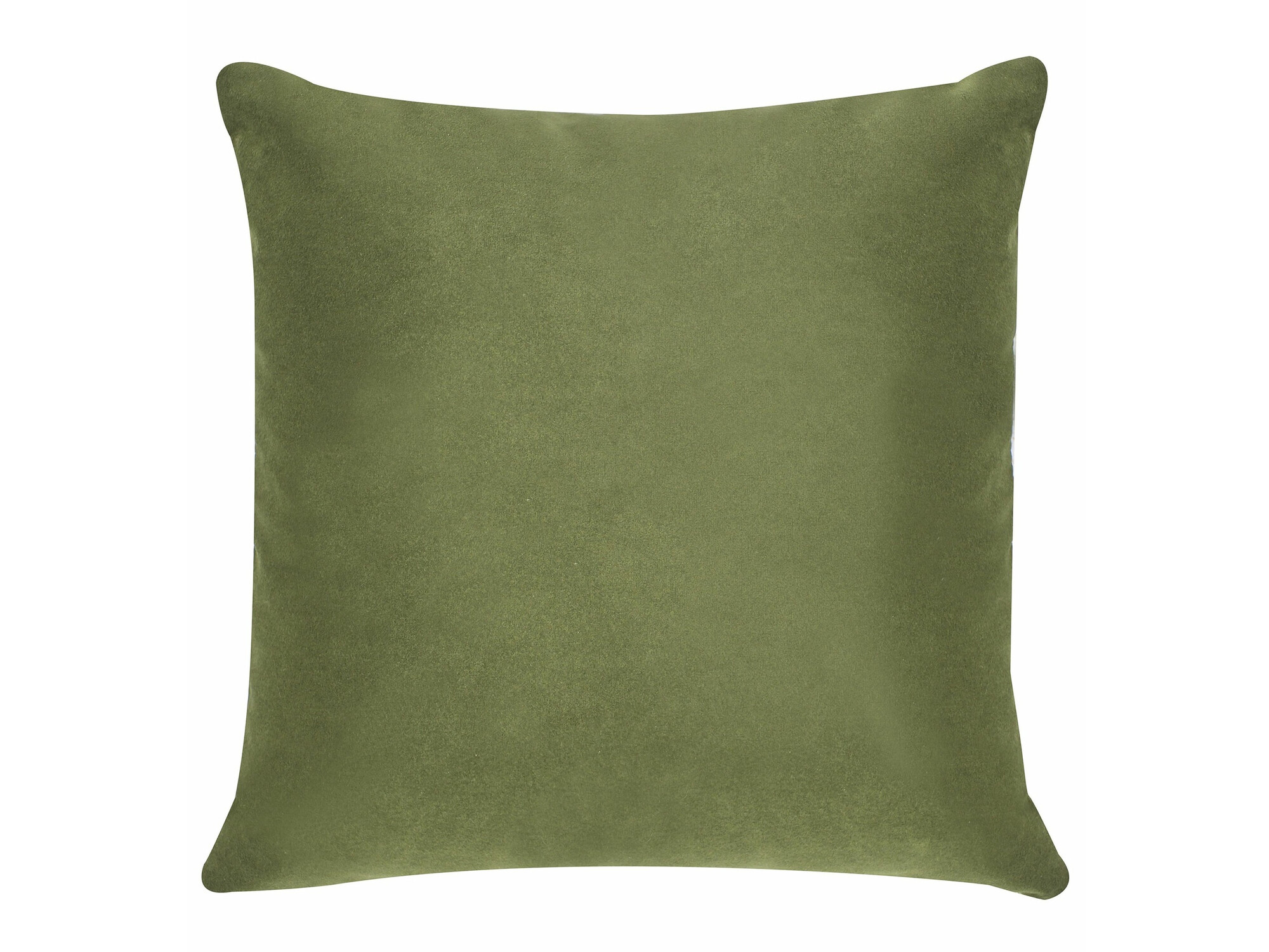 Fotelis Berwyn 2567 (Žalia)