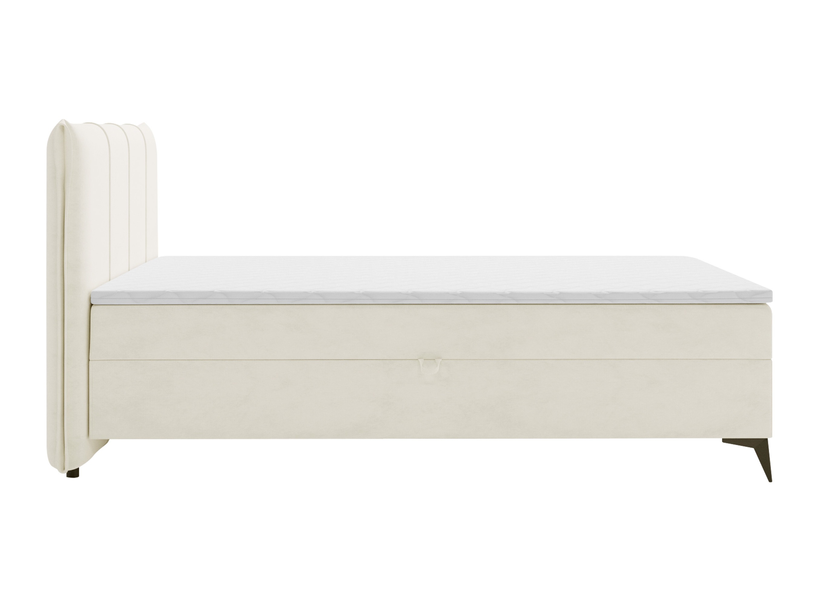 Continental lova Numeritas (Velo 621)