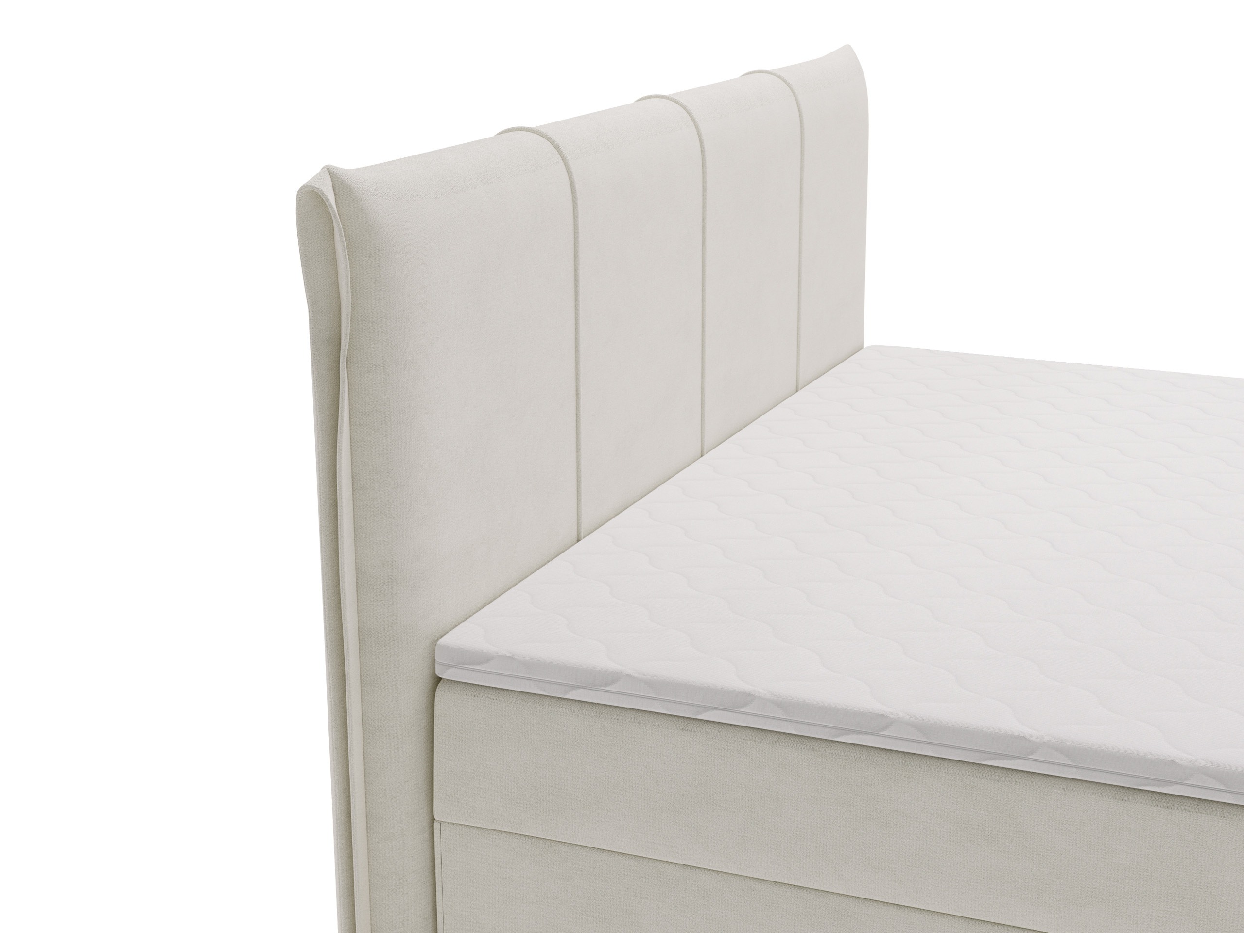 Continental lova Numeritas (Velo 621)